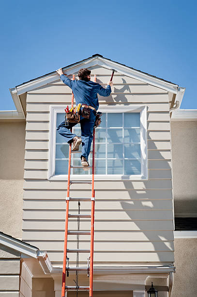 Best Construction Debris Removal  in South Haven, IN